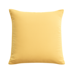 VELVET CUSHION