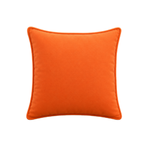 ORANGE VELVET CUSHION