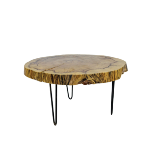 MESA DE CENTRO TRONCO E FERRO