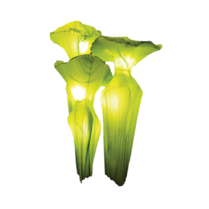 PAPER FLOWER - GREEN