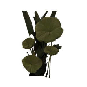 PAPER ANEMONE FLOWER