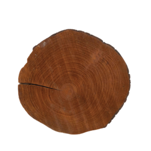 THIN TRUNK CHARGER PLATE