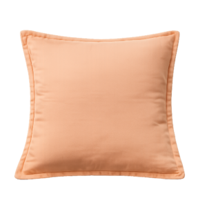 SALMON SQUARE CUSHION