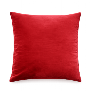 BROWN VELVET SQUARE CUSHION