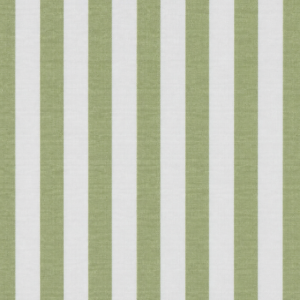GREEN AND WHITE STRIPES RUNNER
